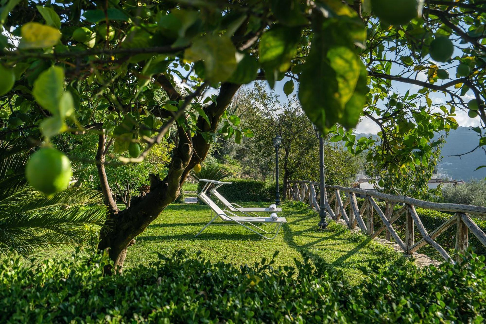 Villa Prota Vico Equense Eksteriør billede